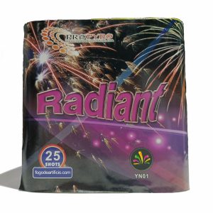 Bateria Profissional 25 Tiros Radiant