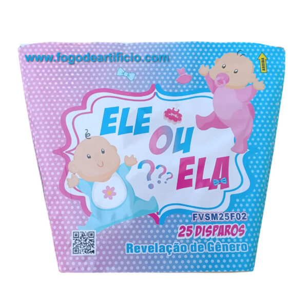 Bateria para Chá de Revelação / Gender Reveal